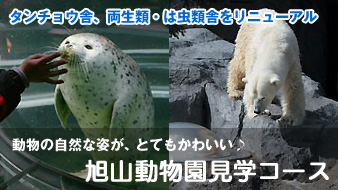 北海道観光　旭山動物園送迎プラン